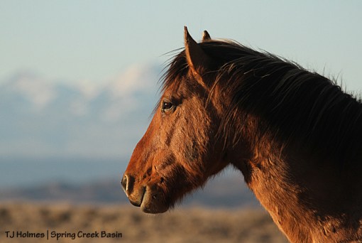 Hollywood, La Sal Mountains