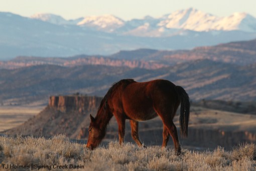 Madison, Spring Creek Basin, Disappointment Valley, La Sal Mountains