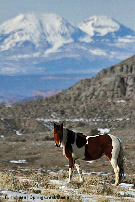 Puzzle, La Sal Mountains