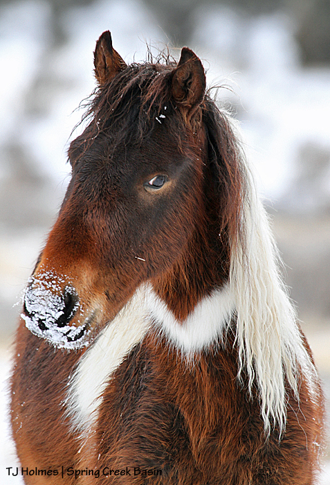 S'aka giving me the stinkeye.