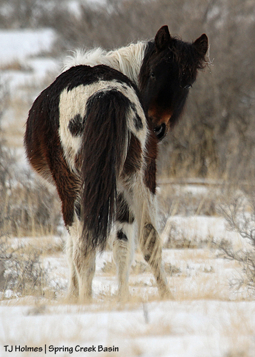 Spirit pretending to tend an itch.