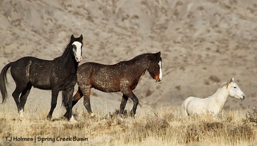 Skywalker, David and Seven