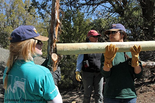 032514kylasophiabrace