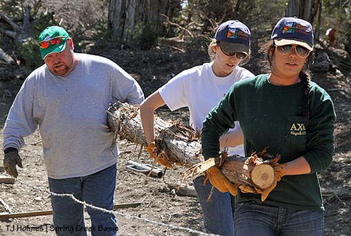 032514sophiagracedamonpost