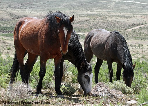Apollo, Skywalker and Killian