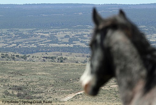 Skywalker looking at Duke in the distance.