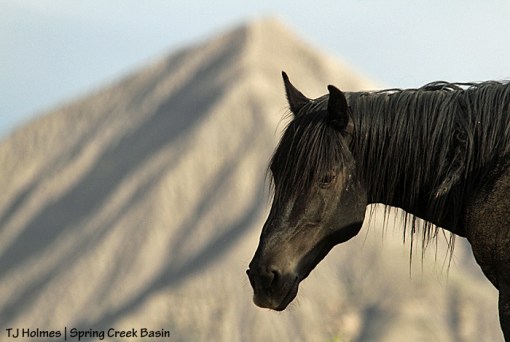 Bounce, McKenna Peak