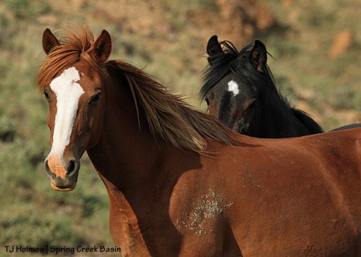 Gaia and Cassidy Rain