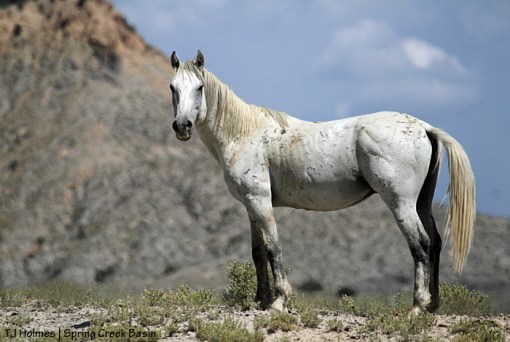 Seven, unnamed promontory