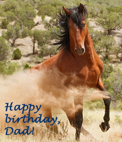 Tenaz playing with Hayden. 3851