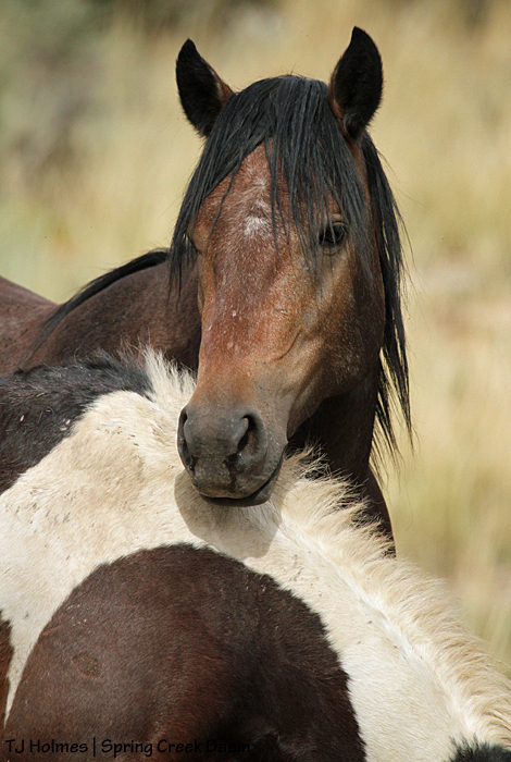 Pals Killian and S'aka