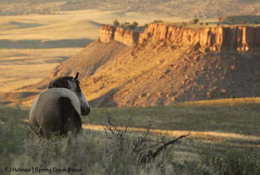Winona against Spring Creek canyon.