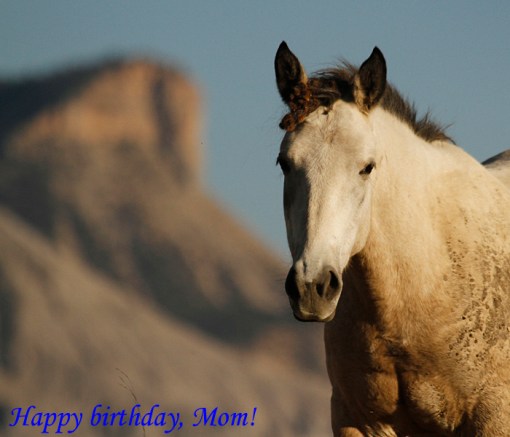 Winona, McKenna Peak, Temple Butte