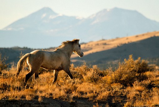 Mysterium, La Sal Mountains