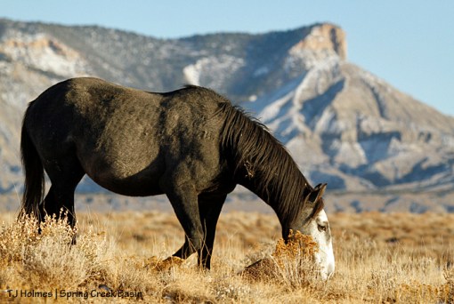 Skywalker, McKenna Peak, Temple Butte