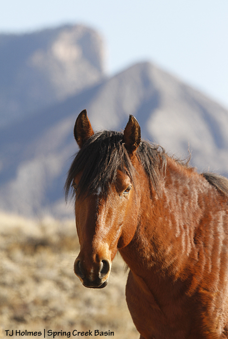 Tenaz, McKenna Peak, Temple Butte