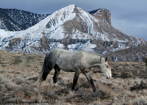 Storm, McKenna Peak and Temple Butte