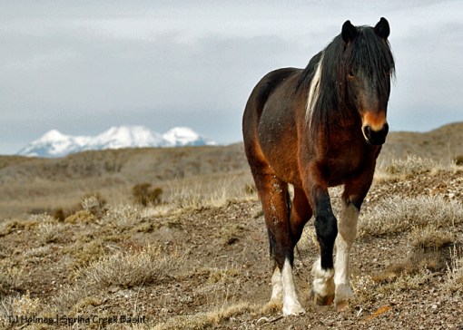 Maiku, La Sal Mountains