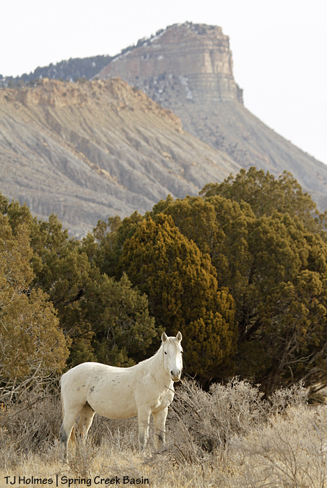 Seven, Brumley Point and Temple Butte