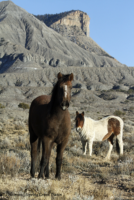 Seneca and Chipeta, McKenna Peak and Temple Butte
