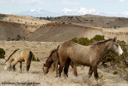 Jadi, Mariah and Winona