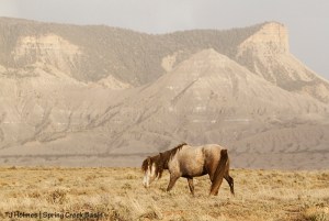 Terra, McKenna Peak, Temple Butte