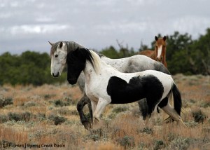Gaia looks on while Corazon and Storm march together.