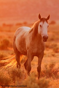 Piedra, summer solstice sunset