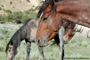 Apollo, S'aka and Killian