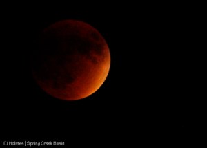 Super moon, blood moon, harvest moon ... lunar eclipse.The last one of this type occurred in 1982; the next one won't occur until 2033.