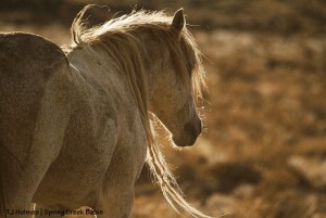 Chrome in the sunlight and rain.
