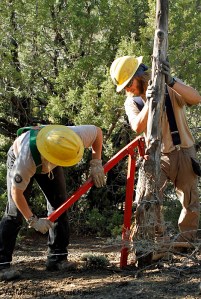 Southwest Conservation Corps crew members Abby and Aaron use the post puller to remove a rotted post in Spring Creek Basin's southeastern fence line.