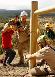 Southwest Conservation Corps co-crew leader Dillon lends weight to the manual drill wielded by Eric as he drills a hole for a spike in the H-brace pictured. Aaron and Sarah, who dug the post holes, thread wire to anchor the braces on Spring Creek Basin's southeastern fence line.