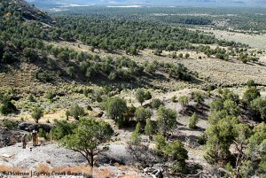 Southwest Conservation Corps members rebuild the fence up a steep hill on Spring Creek Basin's southeastern boundary.