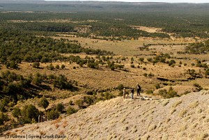 Southwest Conservation Corps crew members build H-braces on a steep hill along Spring Creek Basin's southeastern boundary. From this vantage, one looks across the last drainage in the basin toward Disappointment Road.