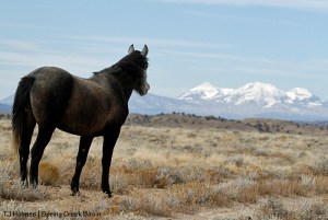 Temple, La Sal Mountains