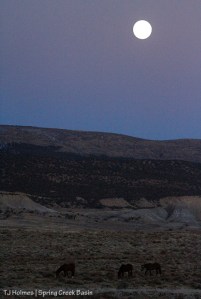 Full moon rising over Spring Creek Basin.