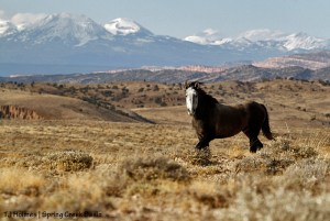 Temple, La Sal Mountains