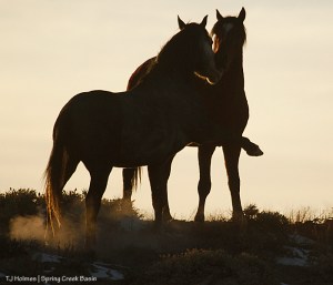 Skywalker and Apollo