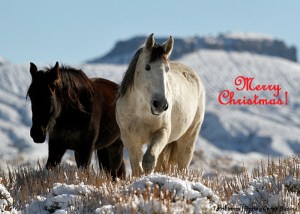 Piedra and Aurora, Brumley Point