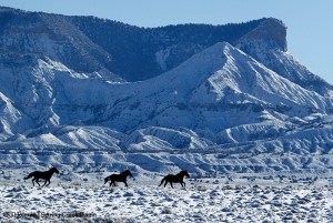 Spring Creek Basin snow; McKenna Peak, Temple Butte.