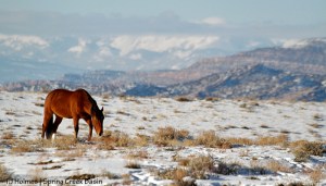 Shane and cloud-shrouded La Sal Mountains.