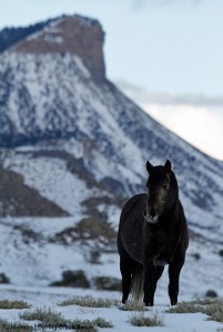 Killian, Temple Butte