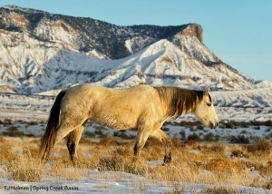 Piedra, Temple Butte, McKenna Peak