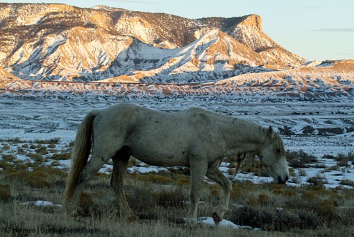 Chrome, McKenna Peak and Temple Butte