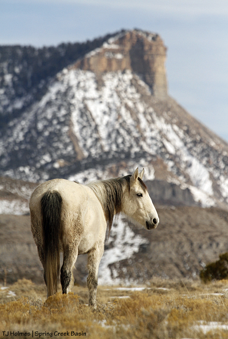 Piedra, Temple Butte