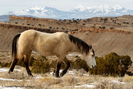 Winona, La Sal Mountains
