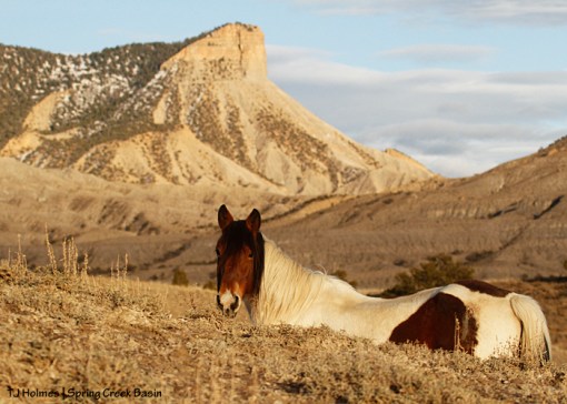 Chipeta, Temple Butte