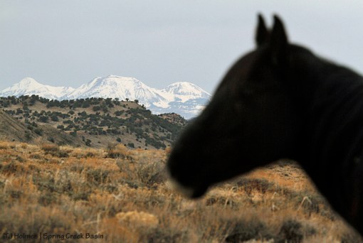 Bounce, La Sal Mountains