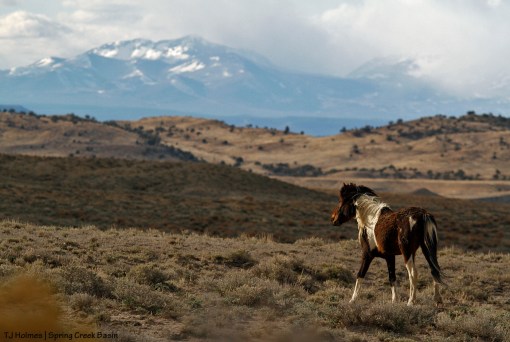 S'aka, La Sal Mountains under a snow squall.
